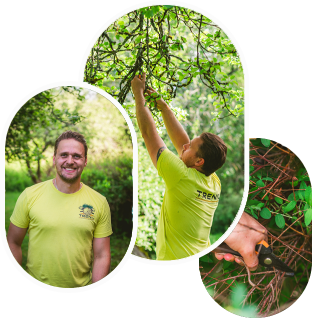 Mini Info Section Image